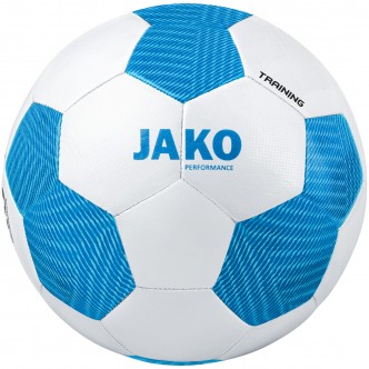 BALLON STRIKER 2.0